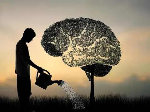 growth of mind
